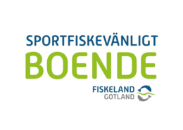 Sportfiskevänligt boende Gotland